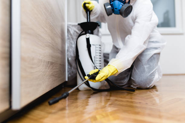 Pest Prevention Services in Hialeah Gardens, FL