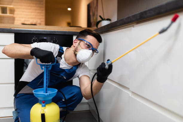 Best Best Pest Control Companies  in Hialeah Gardens, FL