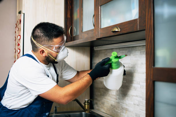 Best Best Pest Control Companies  in Hialeah Gardens, FL