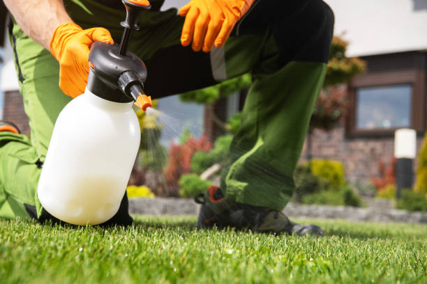 Best Spider Control Near Me  in Hialeah Gardens, FL
