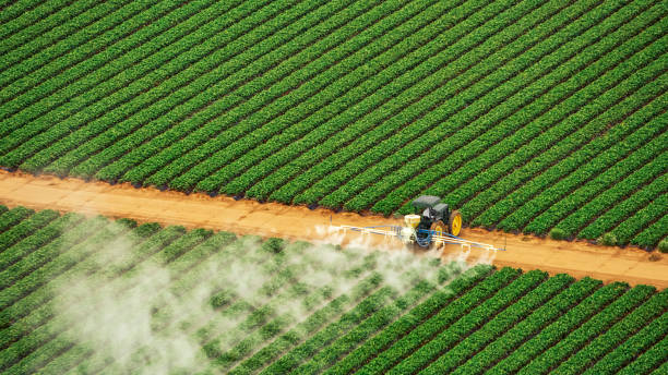 Hialeah Gardens, FL Pest Control Company