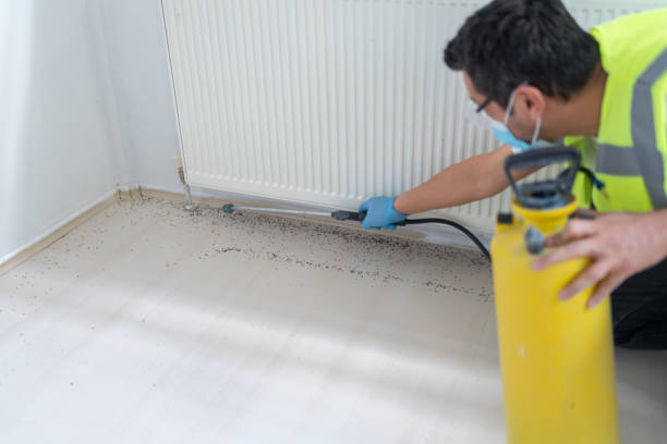 Best Exterminator Services  in Hialeah Gardens, FL