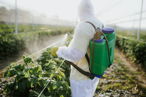 Best Commercial Pest Control Services  in Hialeah Gardens, FL